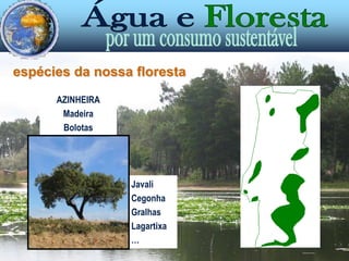  Protecção do solo contra a erosão