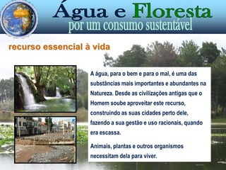 recurso essencial à vidaA água, para o bem e para o mal, é uma das substâncias mais importantes e abundantes na Natureza. Desde as civilizações antigas que o Homem soube aproveitar este recurso, construindo as suas cidades perto dele, fazendo a sua gestão e uso racionais, quando era escassa.Animais, plantas e outros organismos necessitam dela para viver. 