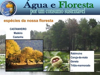  Espaço de lazer e descanso