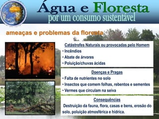  Elemento da paisagem