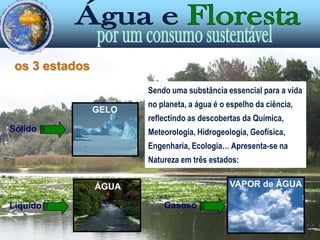 os 3 estadosSendo uma substância essencial para a vida no planeta, a água é o espelho da ciência, reflectindo as descobertas da Química, Meteorologia, Hidrogeologia, Geofísica, Engenharia, Ecologia… Apresenta-se na Natureza em três estados:GELOSólidoVAPOR de ÁGUAÁGUAGasosoLíquido