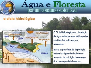 condensaçãoprecipitaçãonevetranspiraçãochuvaevaporaçãolagoriooceanoinfiltraçãocorrente subterrâneao ciclo hidrológicoO Ciclo Hidrológico é a circulação da água entre os reservatórios dos continentes e do mar, e a atmosfera.Mas a capacidade de depuração natural da água diminuí com o aumento da poluição decorrente dos usos que dela fazemos. 
