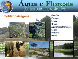 CanhõesEscarpasLapiazGrutasAquíferos subterrâneosLagosPântanosDunas…moldar paisagens