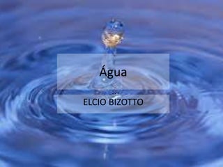 Água 
ELCIO BIZOTTO 
 