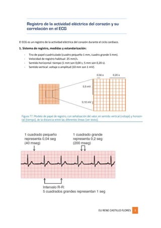 EU RENE CASTILLO FLORES 3
Registro de la actividad eléctrica del corazón y su
correlación en el ECG
El ECG es un registro de la actividad eléctrica del corazón durante el ciclo cardiaco.
1. Sistema de registro, medidas y estandarización:
- Tira de papel cuadriculado (cuadro pequeño 1 mm, cuadro grande 5 mm).
- Velocidad de registro habitual: 25 mm/s.
- Sentido horizontal: tiempo (1 mm son 0,04 s; 5 mm son 0,20 s).
- Sentido vertical: voltaje o amplitud (10 mm son 1 mV).
 