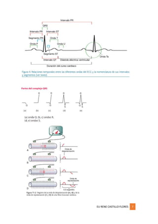 EU RENE CASTILLO FLORES 7
 