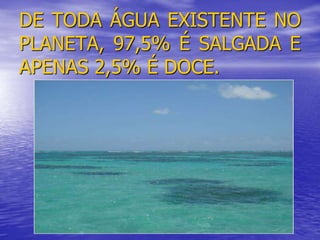 DE TODA ÁGUA EXISTENTE NO
PLANETA, 97,5% É SALGADA E
APENAS 2,5% É DOCE.
 