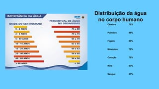 Distribuição da água
no corpo humano
Cérebro 75%
Pulmões 86%
Fígado 86%
Músculos 75%
Coração 75%
Rins 83%
Sangue 81%
 
