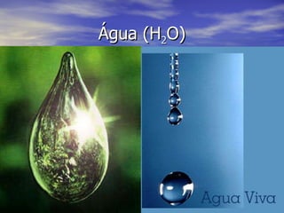 Água (H 2 O) 