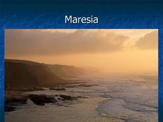 Maresia 
