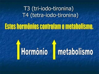 T3 (tri-iodo-tironina)   T4 (tetra-iodo-tironina) Estes hormônios controlam o metabolismo. Hormônio metabolismo 