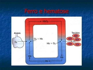 Ferro e hematose 