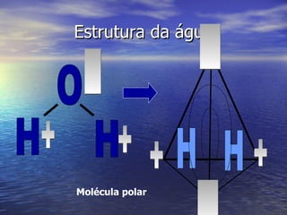 Estrutura da água Molécula polar O H H H H O + _ + _ + + _ 