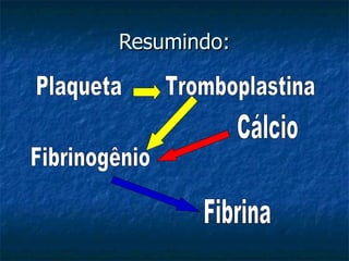 Resumindo: Plaqueta Fibrinogênio Fibrina Cálcio Tromboplastina 