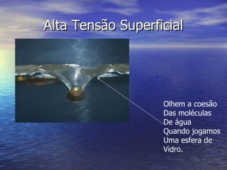 Alta Tensão Superficial Olhem a coesão Das moléculas De água Quando jogamos Uma esfera de Vidro. 