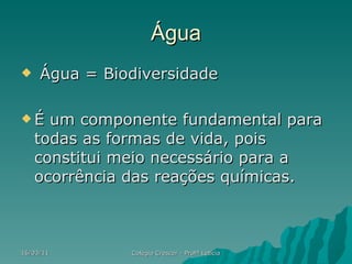 Água <ul><li>Água = Biodiversidade </li></ul><ul><li>É um componente fundamental para todas as formas de vida, pois consti...