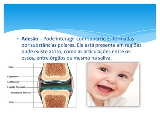 Adesão – Pode interagir com superfícies formadas
por substâncias polares. Ela está presente em regiões
onde existe atrito, como as articulações entre os
ossos, entre órgãos ou mesmo na saliva.
 