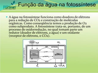 Função da água na fotossíntese
 A água na fotossíntese funciona como doadora de elétrons
para a redução de CO2 e construção de moléculas
orgânicas. Como conseqüência temos a produção de O2
como subproduto. A fotossíntese trata-se, portanto, de um
processo de oxidorredução, no qual tomam parte um
redutor (doador de elétrons, a água) e um oxidante
(receptor de elétrons, o CO2).
 