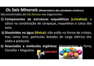 Os Sais Minerais (Moderadores das atividades celulares)
São encontrados de três formas nos organismos:
1) Componentes de estruturas esqueléticas (cristalina): o
cálcio na constituição de carapaças, esqueletos e casca dos
ovos.
2) Dissolvidos na água (iônica): não estão na forma de cristais,
mas como íons, partículas dotadas de carga elétrica (Ex:
sódio e potássio).
3) Associados a moléculas orgânicas: Hemoglobina + Ferro,
Clorofila + Magnésio
 