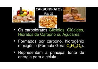 CARBOIDRATOS
• Os carboidratos Glicídios, Glúcides,
Hidratos de Carbono ou Açúcares.
• Formados por carbono, hidrogênio
e oxigênio (Fórmula Geral CnH2nOn).
• Representam a principal fonte de
energia para a célula.
Pág 25
 
