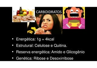 CARBOIDRATOS
• Energética: 1g = 4kcal
• Estrutural: Celulose e Quitina.
• Reserva energética: Amido e Glicogênio
• Genética: Ribose e Desoxirribose
 