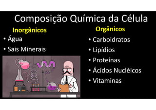 Composição Química da Célula
Inorgânicos
• Água
• Sais Minerais
Orgânicos
• Carboidratos
• Lipídios
• Proteínas
• Ácidos Nucléicos
• Vitaminas
 