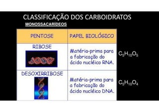 CLASSIFICAÇÃO DOS CARBOIDRATOS
MONOSSACARÍDEOS
C5H10O5
C5H10O4
 