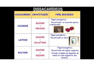 DISSACARÍDEOS
 