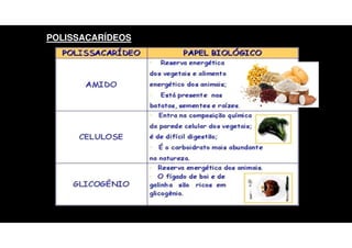 POLISSACARÍDEOS
 