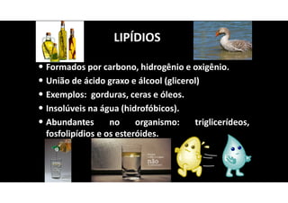 LIPÍDIOS
• Formados por carbono, hidrogênio e oxigênio.
• União de ácido graxo e álcool (glicerol)
• Exemplos: gorduras, ceras e óleos.
• Insolúveis na água (hidrofóbicos).
• Abundantes no organismo: triglicerídeos,
fosfolipídios e os esteróides.
 
