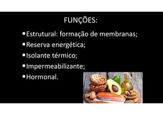FUNÇÕES:
•Estrutural: formação de membranas;
•Reserva energética;
•Isolante térmico;
•Impermeabilizante;
•Hormonal.
 