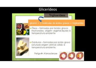 Glicerídeos
 