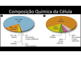 Composição Química da Célula
 