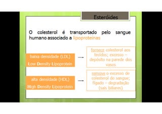 LDL e HDL
O LDL (baixa densidade) transporta colesterol do fígado para os tecidos, fazendo com que
fique disponível na corrente sanguínea e possa aderir na parede dos vasos sanguíneos. O
HDL (alta densidade) faz o caminho inverso, tira colesterol dos tecidos e devolve para o
fígado onde é estocado ou liberado no intestino para excreção.
A produção das lipoproteínas é regulada pelos níveis de colesterol. Colesterol derivado de
gorduras saturadas e gordura trans favorecem a produção de LDL, enquanto que o consumo
de gorduras insaturadas, encontrada no azeite, peixes e amêndoas, por exemplo, promovem
a produção do HDL.
 