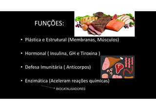 FUNÇÕES:
• Plástica e Estrutural (Membranas, Músculos)
• Hormonal ( Insulina, GH e Tiroxina )
• Defesa Imunitária ( Anticorpos)
• Enzimática (Aceleram reações químicas)
BIOCATALISADORES
 