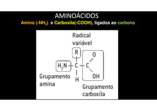 AMINOÁCIDOS
GRUPO AMINO
Amino (-NH2) e Carboxila(-COOH), ligados ao carbono
 