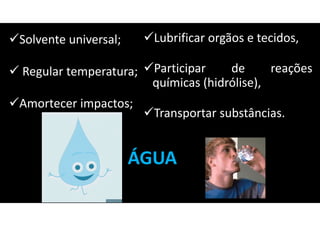 ÁGUA
Solvente universal;
Regular temperatura;
Amortecer impactos;
Lubrificar orgãos e tecidos,
Participar de reações
químicas (hidrólise),
Transportar substâncias.
 