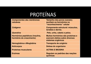 Tipo Função
Proteínas estruturais
Componentes das membranas
celulares
Tamanho dos poros (canais);
auxiliam os hormônios no
“reconhecimento” celular
Colágeno Componente estrutural: músculos,
tendões e derme.
Queratina Pele, unha, cabelo e pelos.
Hormônios peptídicos (insulina,
hormônio do crescimento)
Muitos hormônios são proteínas e
exercem efeitos sobre diversos
sistemas orgânicos
Hemoglobina e Mioglobina Transporte de oxigênio
Anticorpos Defesa do organismo
Proteínas musculares ACTINA E MIOSINA
Enzimas Regulam os padrões das reações
químicas
PROTEÍNAS
 