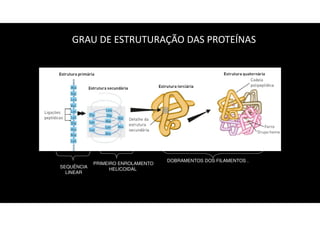 GRAU DE ESTRUTURAÇÃO DAS PROTEÍNAS
SEQUÊNCIA
LINEAR
DOBRAMENTOS DOS FILAMENTOS .
PRIMEIRO ENROLAMENTO
HELICOIDAL
Estrutura
primária
Estrutura
secundária
Estrutura
terciária
Estrutura
quaternária
 
