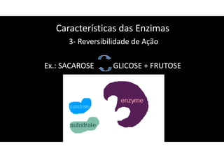 Características das Enzimas
3- Reversibilidade de Ação
Ex.: SACAROSE GLICOSE + FRUTOSE
SUCRASE
 