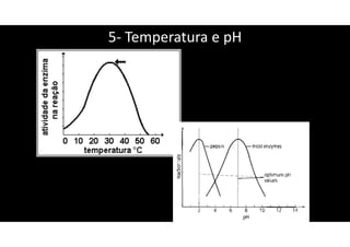 5- Temperatura e pH
 
