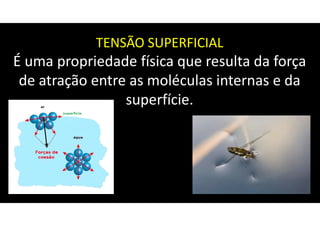 TENSÃO SUPERFICIAL
É uma propriedade física que resulta da força
de atração entre as moléculas internas e da
superfície.
 