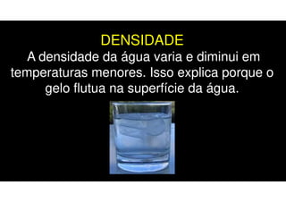 DENSIDADE
A densidade da água varia e diminui em
temperaturas menores. Isso explica porque o
gelo flutua na superfície da água.
 