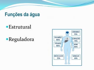 Funções da águaEstruturalReguladora