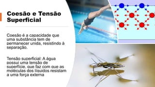 Coesão e Tensão
Superficial
Coesão é a capacidade que
uma substância tem de
permanecer unida, resistindo à
separação.
Tensão superficial: A água
possui uma tensão de
superfície, que faz com que as
moléculas dos líquidos resistam
a uma força externa
 