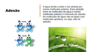 Adesão
A água tende a atrair e ser atraída por
outras moléculas polares. Essa atração
entre as moléculas de água e outras
moléculas polares é chamada de adesão.
As moléculas de água não se ligam com
moléculas apolares, ou seja, não há
adesão.
 