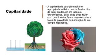 Capilaridade
• A capilaridade ou ação capilar é
a propriedade física que os fluidos têm
de subir ou descer em tubos ou
extremidades. Essa ação pode fazer
com que líquidos fluam mesmo contra a
força da gravidade ou à indução de um
campo magnético.
 