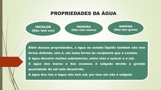 PROPRIEDADES DA ÁGUA
INODORA
(Não tem cheiro)
INCOLOR
(Não tem cor)
INSÍPIDA
(Não tem gosto)
Além dessas propriedades, a água no estado liquido também não tem
forma definida, isto é, ela toma forma do recipiente que a contém.
A água dissolve muitas substancias, entre elas o açúcar e o sal.
A água dos mares e dos oceanos é salgada devido a grande
quantidade de sal nela dissolvida.
A água dos rios e lagos não tem sal, por isso ela não é salgada
 