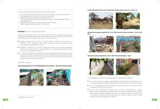 5352
Revisa los siguientes links para las reuniones con los docentes…
Actividad 2. Selección del espacio para el EsVi
La selección del espacio está en función de las características de la infraestructura de la IE y
de los espacios existentes dentro y fuera de la misma (teniendo en cuenta las áreas naturales
existentes). Veamos a continuación los aspectos a tomar en cuenta.
	 Identificar espacios libres, seguros y cercanos (dentro o fuera de la IE) para crear o
recuperar un EsVi (biohuerto, jardín, campo, bosque, montaña, ecosistemas marinos,
áreas naturales protegida- ANP u otros)18
.
	 Identificar la disposición de recursos: agua, suelo, plantas y otros fáciles de gestionar
(semillas, herramientas, abonos, material reusable, etc.) que puedan garantizar el inicio de
la creación o recuperación del espacio.
	 Consultar acerca del espacio elegido con la UGEL, municipalidad y otros aliados para recibir
sus aportes en materia de seguridad, reducción de riesgos (como la obstrucción de zonas
transitables y forestación en zonas adecuadas para evitar deslizamientos), y la gestión de
recursos locales para su implementación.
17 Es aplicable para zona urbana o rural.
ANIA
ANIA
Aquí algunos ejemplos…
Espacio disponible de la IE N.° 86349 República de Honduras – Chavín de Huántar, Áncash
La Asociación para el Aprendizaje sobre el Cambio Climático de la Iniciativa Una ONU:
http://www.uncclearn.org/es/recursos-para-el-aprendizaje
UNESCO. Aprender a hacer frente al cambio climático:
http://www.unesco.org/archives/multimedia/index.php?s=films_details&pg=33&vo=3
&vl=Spa&id=2569
Programa de las Naciones Unidas para el desarrollo sostenible:
https://www.youtube.com/watch?v=y4TLFPV2l6E
Recuperación de espacio disponible de la IE N.° 0501 Monseñor Damaso Lebergere - Cerro El Pino,
Lima
Potenciando espacio disponible de la IE N.° 2045 Villa Clorinda Málaga – Comas
El EsVi puede ser creado o recuperado según las siguientes situaciones:
	 En II.EE. que cuenten con espacios amplios dentro o fuera (bosque, huerto, jardín, etc.), el
EsVi se distribuirá entre los grados, según el tamaño que él o la docente evalúe conveniente.
	 En II.EE. que dispongan de espacios pequeños, se podrá establecer turnos para recuperar
o proteger el EsVi de manera colectiva.
	 En II.EE. que no dispongan de espacios libres, el EsVi se implementará en macetas
elaboradas de recipientes que puedan portar tierra y albergar una planta (madera, llantas,
baldes, zapatos, envases de plástico, entre otros). Las macetas se podrán ubicar en el aula
o en lugares no transitados. Se recomienda que cada estudiante tenga su maceta y asuma
la responsabilidad de protegerla (ver Anexo 7).
Espacio disponible fuera de la IE N.° 22716 Carlos Noriega Jiménez Santa Cruz - Paracas, Ica
ANIAANIAANIA
ANIAANIAANIA
 