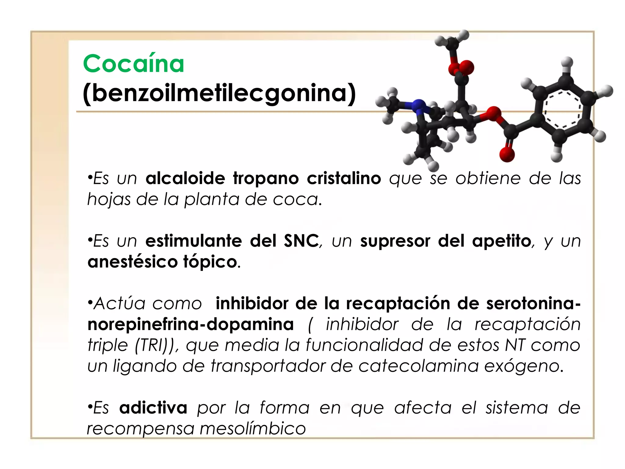 Cocaína
(benzoilmetilecgonina)


•Es un alcaloide tropano cristalino que se obtiene de las
hojas de la planta de coca.

•Es un estimulante del SNC, un supresor del apetito, y un
anestésico tópico.

•Actúa como inhibidor de la recaptación de serotonina-
norepinefrina-dopamina ( inhibidor de la recaptación
triple (TRI)), que media la funcionalidad de estos NT como
un ligando de transportador de catecolamina exógeno.

•Es adictiva por la forma en que afecta el sistema de
recompensa mesolímbico
 